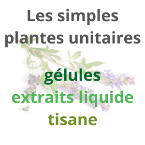 les simples: plantes en unitaire